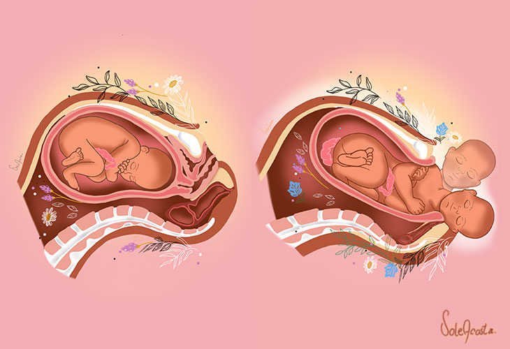 fases-nacimiento-bebe
