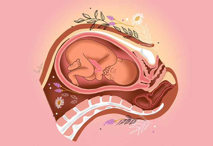 Fases Nacimiento Bebe: Encajamiento