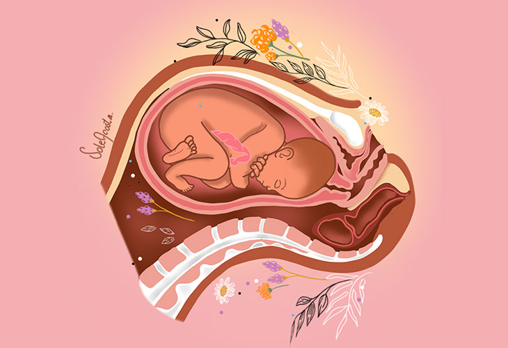 Fases Nacimiento Bebe: progresión y descenso