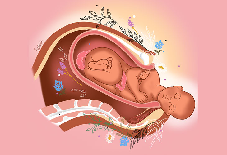 Fases Nacimiento Bebe: rotación externa